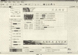 实战：学校网站纠马记